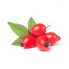 Wild Rose Hip (Dried)