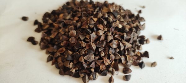 Buckwheat Seed - Image 2