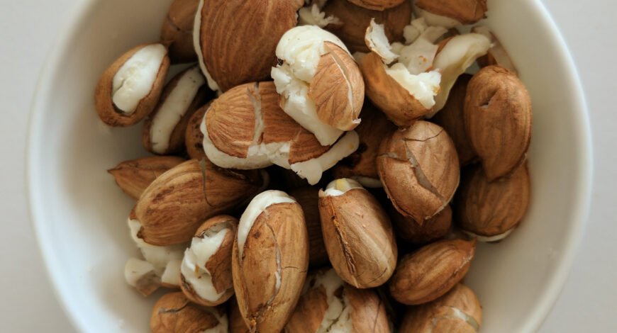 Apricot kernels in a bowl