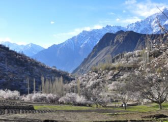 A green valley framed by snow mountains in Gilgit-Baltistan