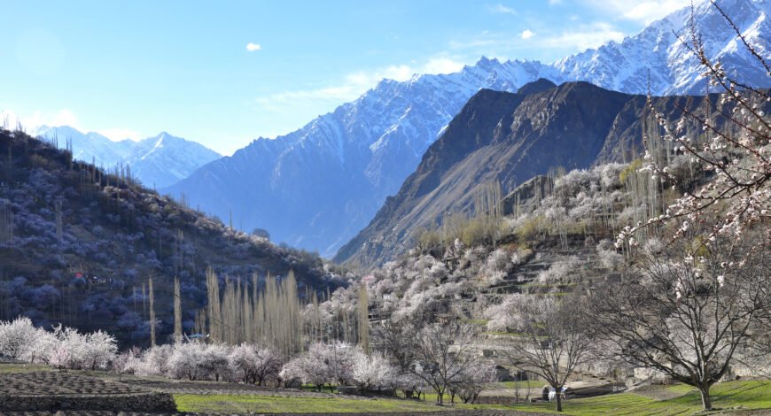 A green valley framed by snow mountains in Gilgit-Baltistan