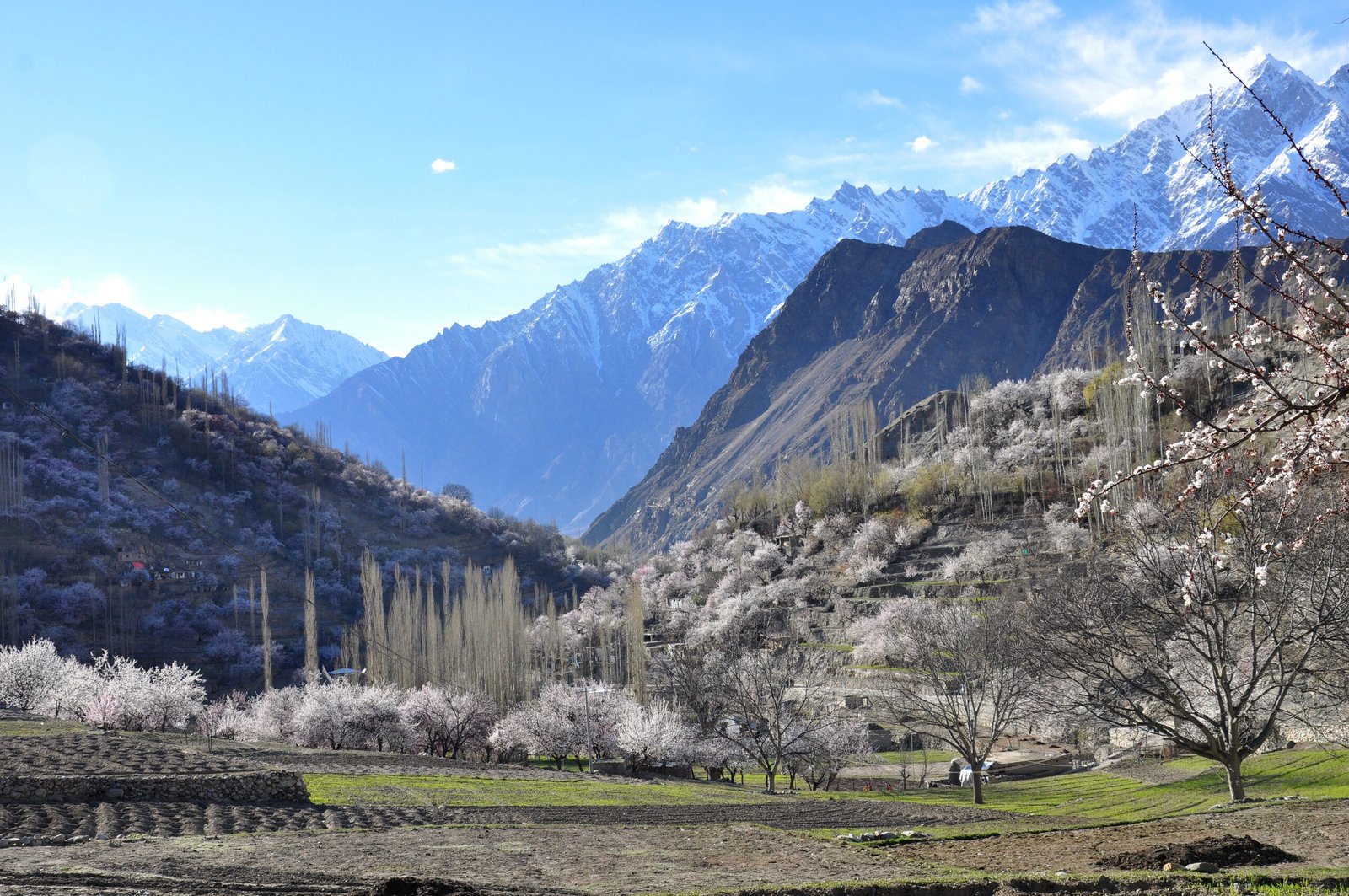 A green valley framed by snow mountains in Gilgit-Baltistan