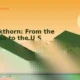 Sea buckthorn from the Himalayas to the U.S. — origin story