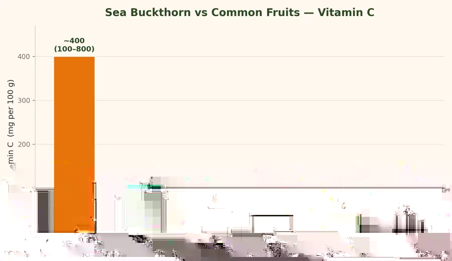Bar chart comparing vitamin C in sea buckthorn versus common fruits
