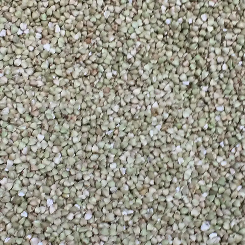 Close-up of raw dry buckwheat groats showing their pale pyramid shape