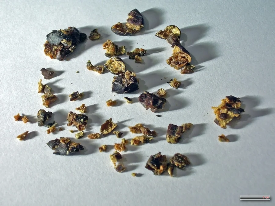 Dried juniper berries, some lightly crushed to release their piney aroma
