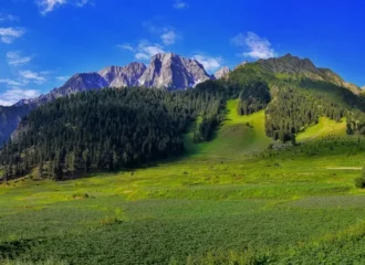 Cultivated fields ringed by mountains in Naltar valley, Gilgit-Baltistan, the kind of high-altitude flora mountain honey comes from