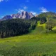Cultivated fields ringed by mountains in Naltar valley, Gilgit-Baltistan, the kind of high-altitude flora mountain honey comes from