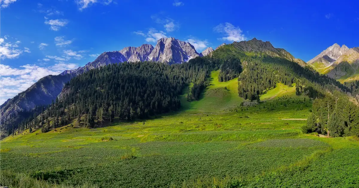 Cultivated fields ringed by mountains in Naltar valley, Gilgit-Baltistan, the kind of high-altitude flora mountain honey comes from